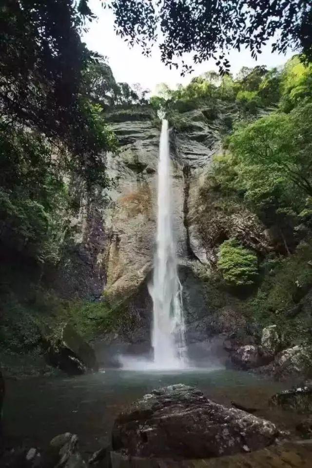 愤怒的小鸟